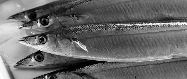 20140903-_dsc4862.jpg